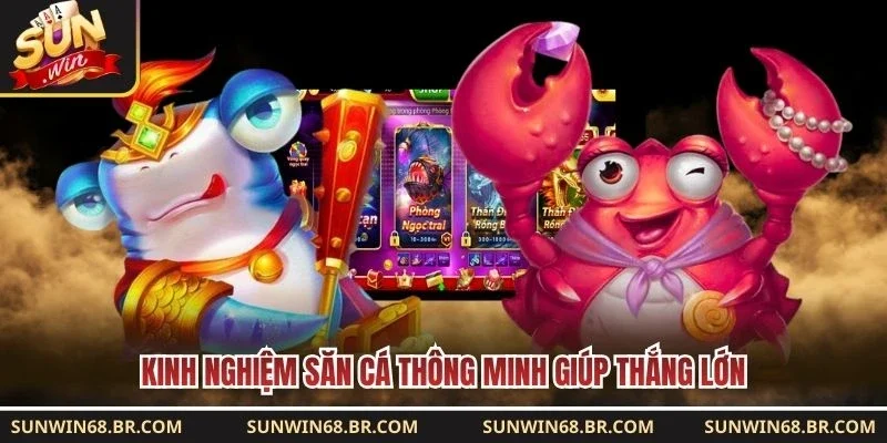 Kinh nghiệm săn cá thông minh giúp thắng lớn